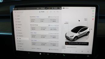 Tesla Model Y ALL MODELS