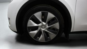 Tesla Model Y ALL MODELS