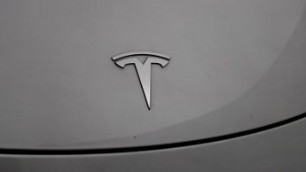 Tesla Model Y ALL MODELS