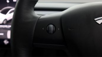 Tesla Model Y ALL MODELS