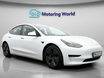 Tesla Model 3 ALL MODELS