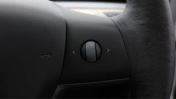 Tesla Model 3 ALL MODELS