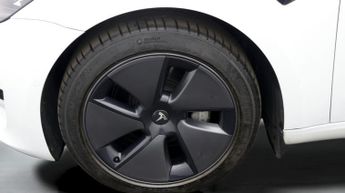 Tesla Model 3 ALL MODELS