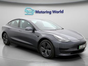 Tesla Model 3 ALL MODELS