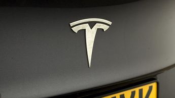 Tesla Model 3 ALL MODELS