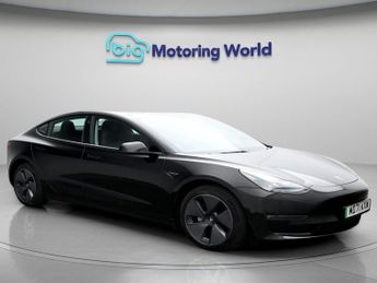 Tesla Model 3 ALL MODELS