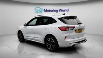 Ford Kuga ST-LINE X EDITION
