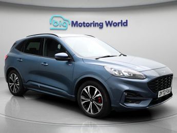 Ford Kuga ST-LINE X EDITION