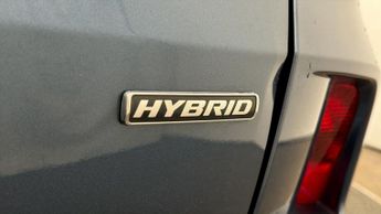 Ford Kuga ST-LINE X EDITION