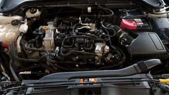 Ford Focus ACTIVE X EDITION