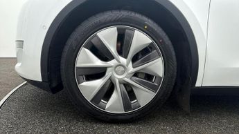 Tesla Model Y ALL MODELS