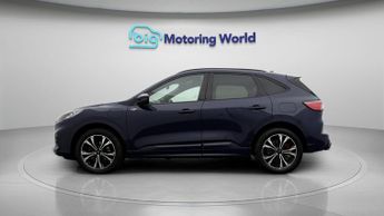 Ford Kuga ST-LINE X EDITION