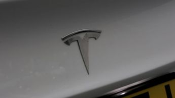 Tesla Model 3 ALL MODELS