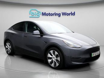 Tesla Model Y ALL MODELS