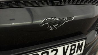 Ford Mustang Mach-E BASE