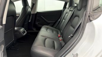 Tesla Model 3 ALL MODELS