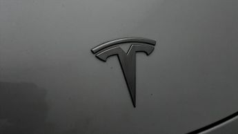Tesla Model 3 ALL MODELS