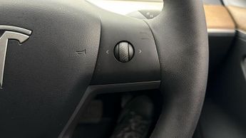 Tesla Model 3 ALL MODELS