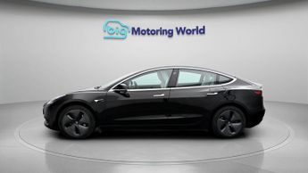 Tesla Model 3 ALL MODELS