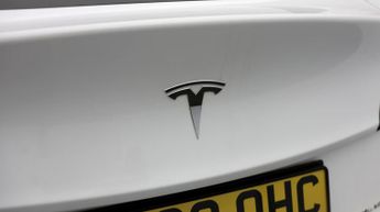 Tesla Model Y ALL MODELS