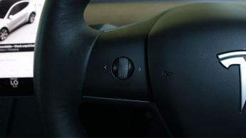 Tesla Model Y ALL MODELS