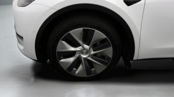 Tesla Model Y ALL MODELS