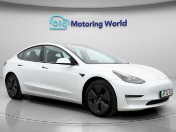 Tesla Model 3 ALL MODELS