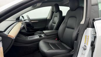 Tesla Model 3 ALL MODELS
