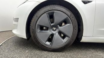 Tesla Model 3 ALL MODELS