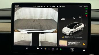 Tesla Model 3 ALL MODELS