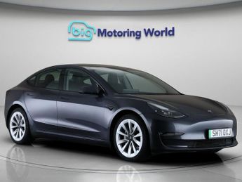 Tesla Model 3 ALL MODELS