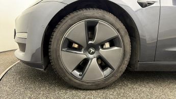 Tesla Model 3 ALL MODELS