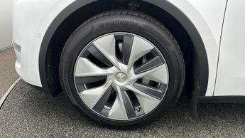 Tesla Model Y ALL MODELS