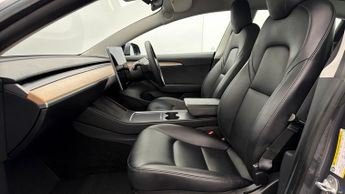 Tesla Model 3 ALL MODELS