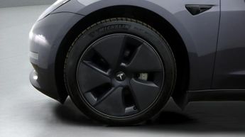 Tesla Model 3 ALL MODELS