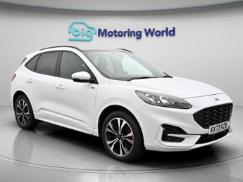 Ford Kuga ST-LINE X EDITION