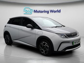 BYD Dolphin DESIGN