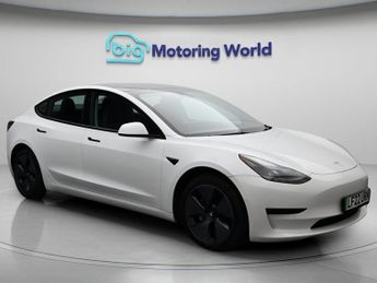 Tesla Model 3 ALL MODELS