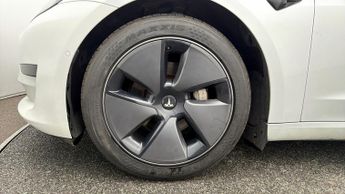 Tesla Model 3 ALL MODELS