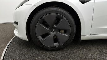 Tesla Model 3 ALL MODELS