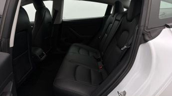 Tesla Model 3 ALL MODELS