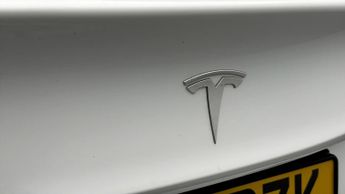 Tesla Model 3 ALL MODELS
