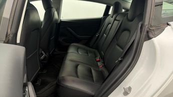 Tesla Model 3 ALL MODELS