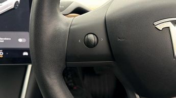Tesla Model 3 ALL MODELS