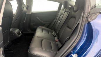 Tesla Model 3 ALL MODELS