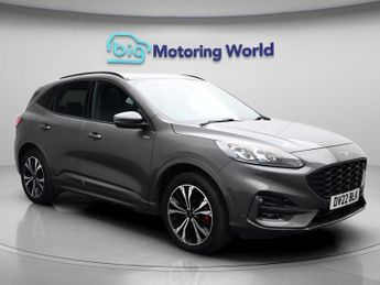Ford Kuga ST-LINE X EDITION