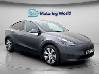 Tesla Model Y ALL MODELS