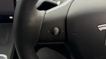 Tesla Model Y ALL MODELS
