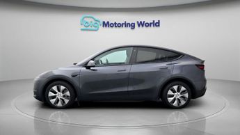 Tesla Model Y ALL MODELS