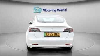 Tesla Model 3 ALL MODELS